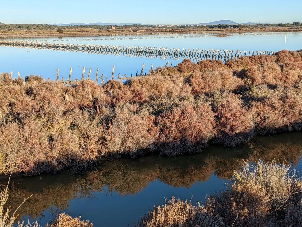 Salins de Villeneuve-lès-Maguelone