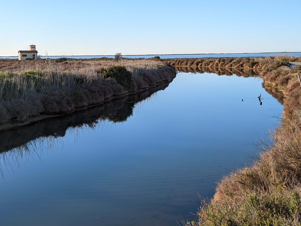 Salins de Villeneuve-lès-Maguelone