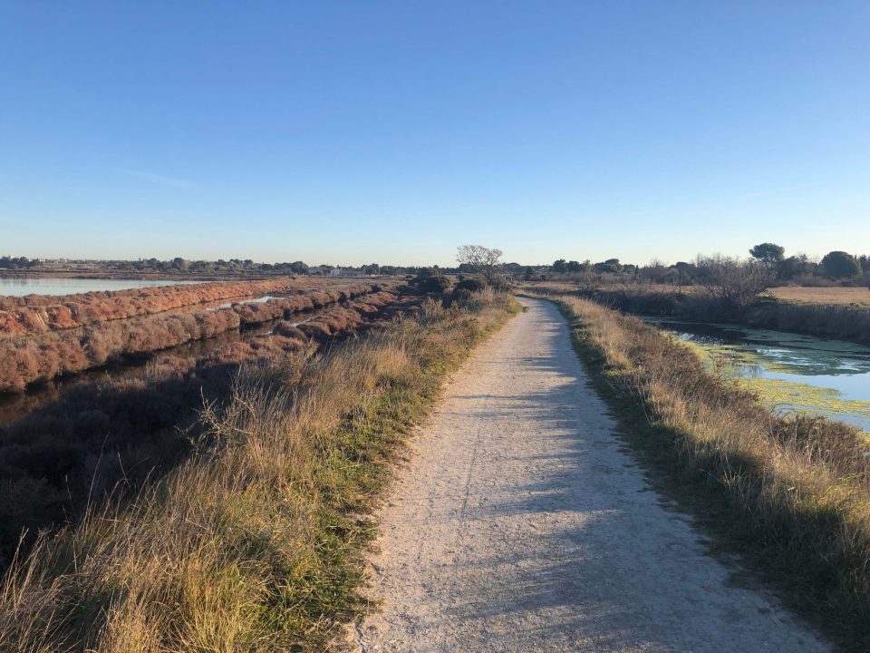 Salins de Villeneuve-lès-Maguelone