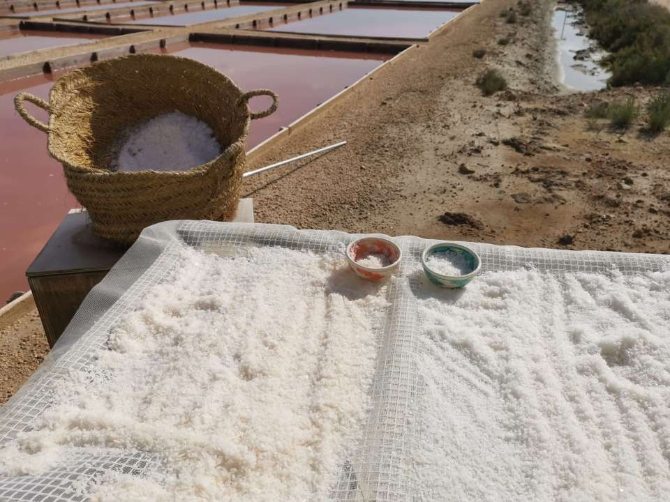 Salins de Colonia de Sant Jordi au Sud de Majorque