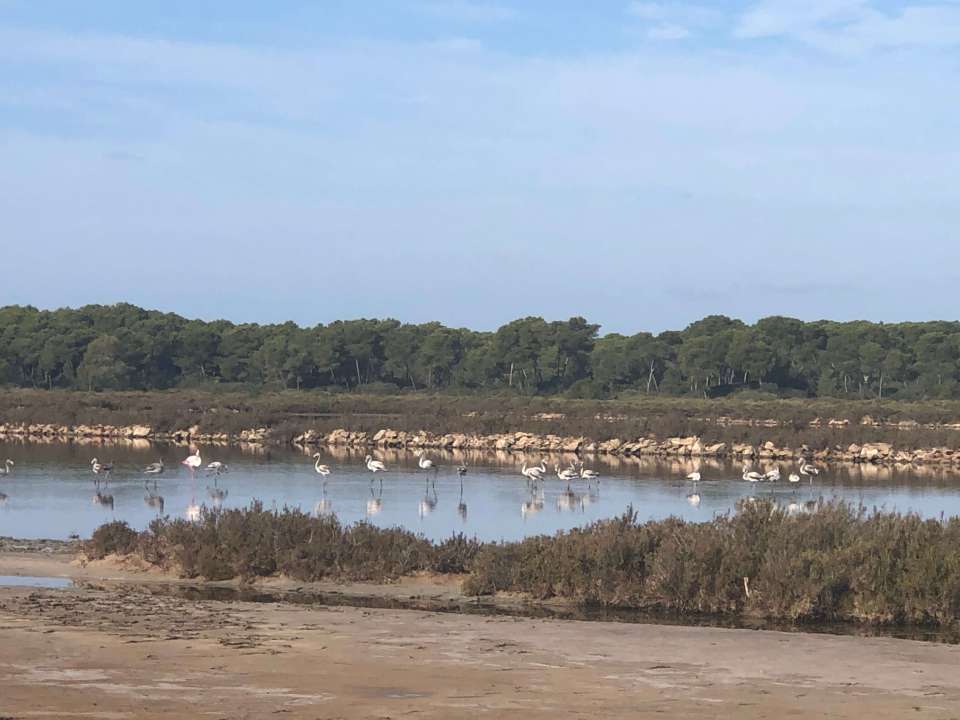 Salins de Colonia de Sant Jordi au Sud de Majorque