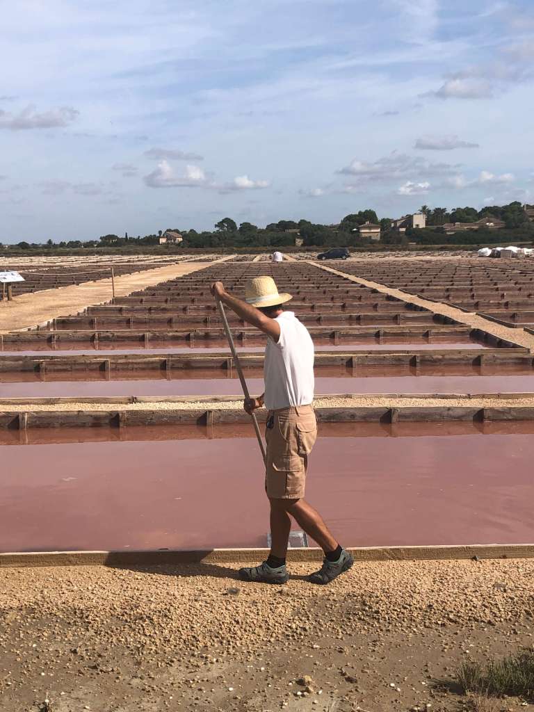 Salins de Colonia de Sant Jordi au Sud de Majorque