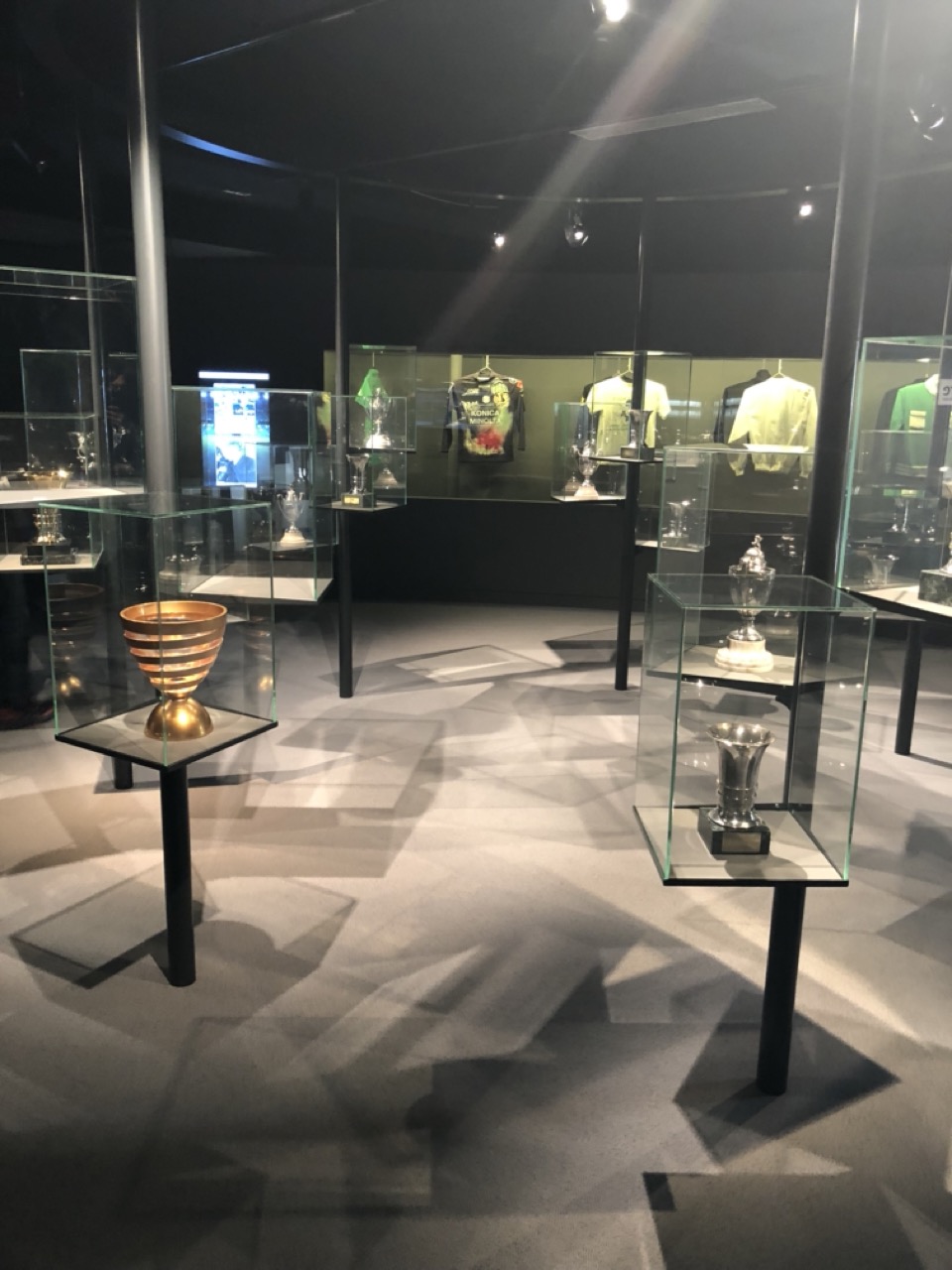 Musée des Verts à Saint Etienne 