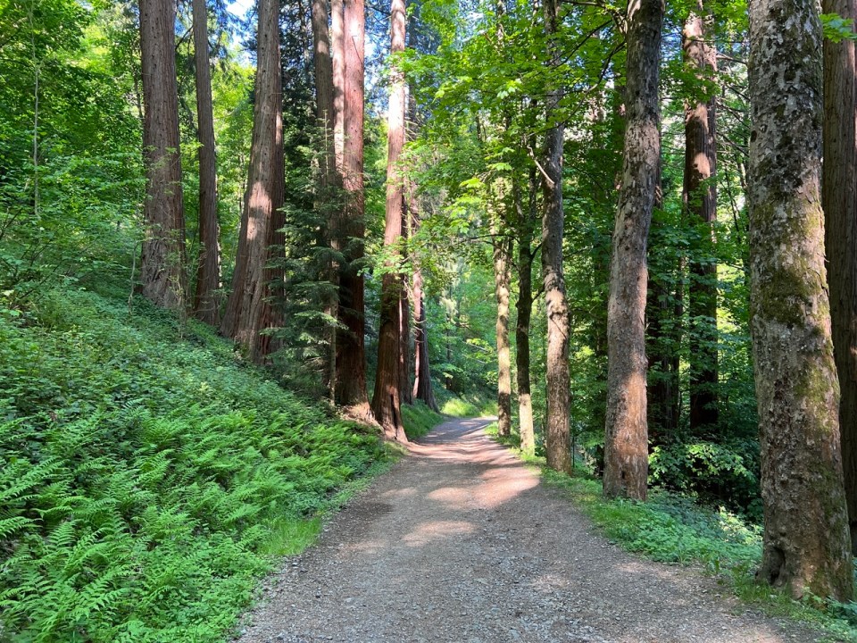 barrage du gouffre de l’enfer dans le Parc naturel régional du Pilat 