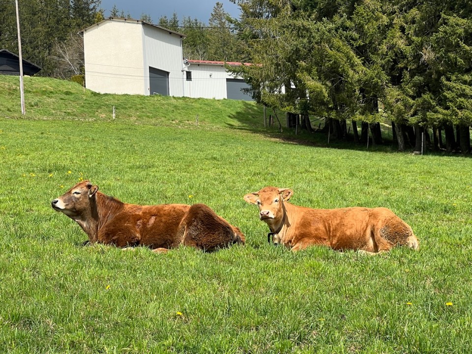 Parc naturel régional du Pilat 