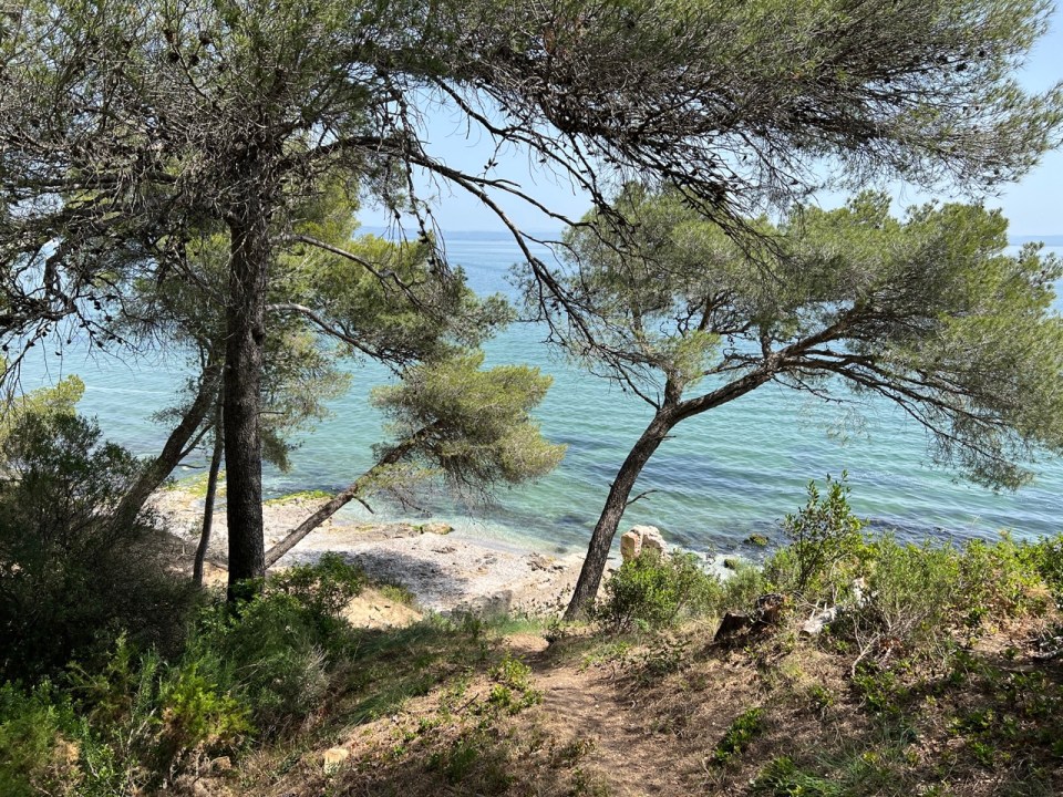 étang de Berre dans le parc de Figuerrolles