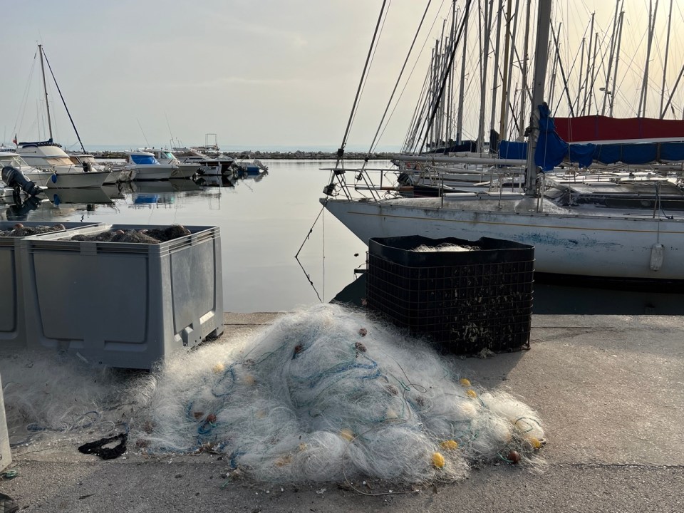 quartier de la Jonquières