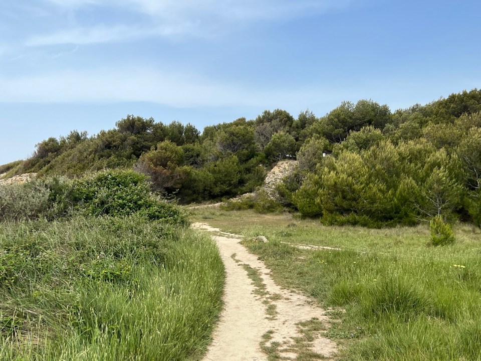 Rives de l’étang de Berre dans le parc de Figuerrolles