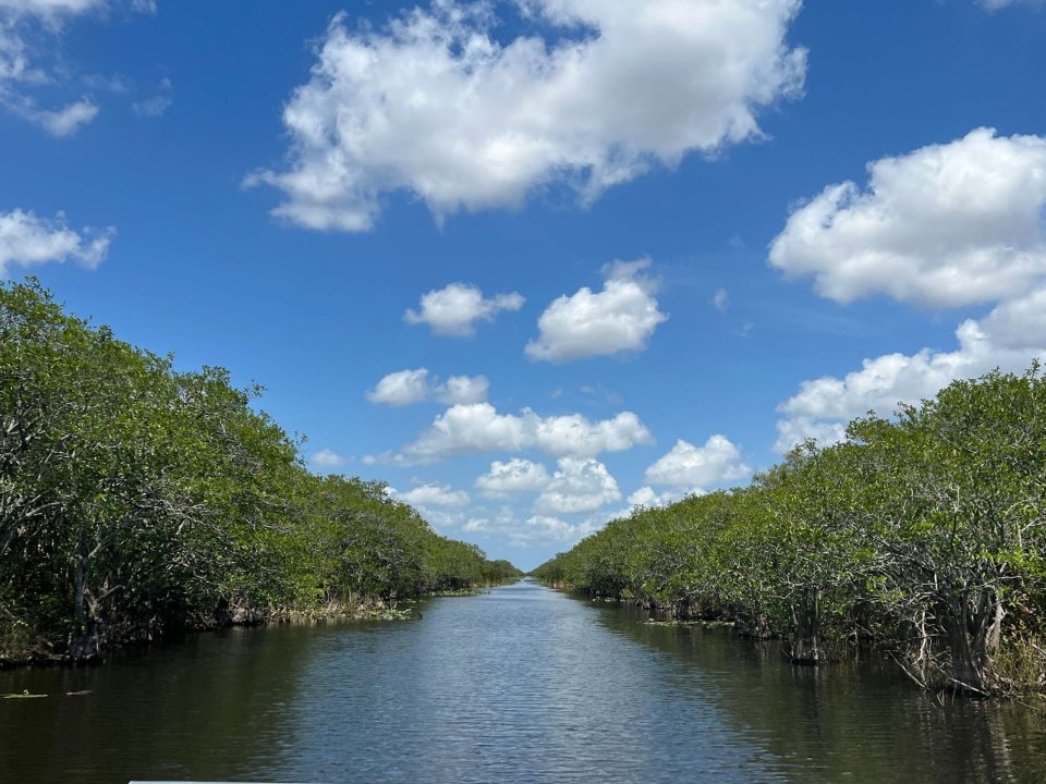 airboat Everglades