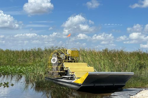 airboat dans les Everglades