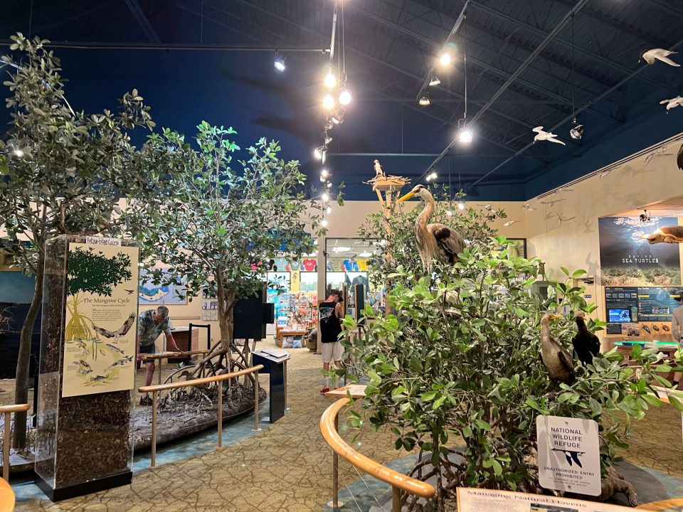 Ding Darling National Wildlife