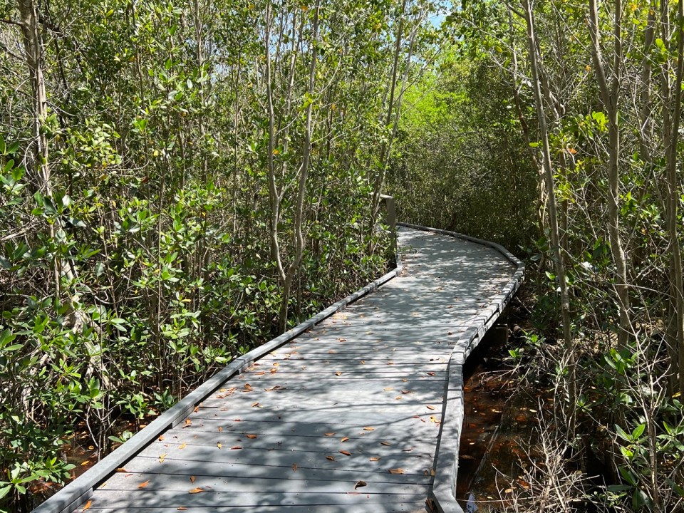 Wildlife refuge road