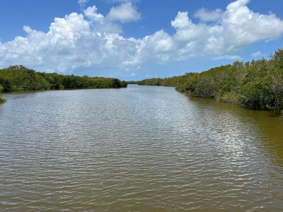 Wildlife refuge road