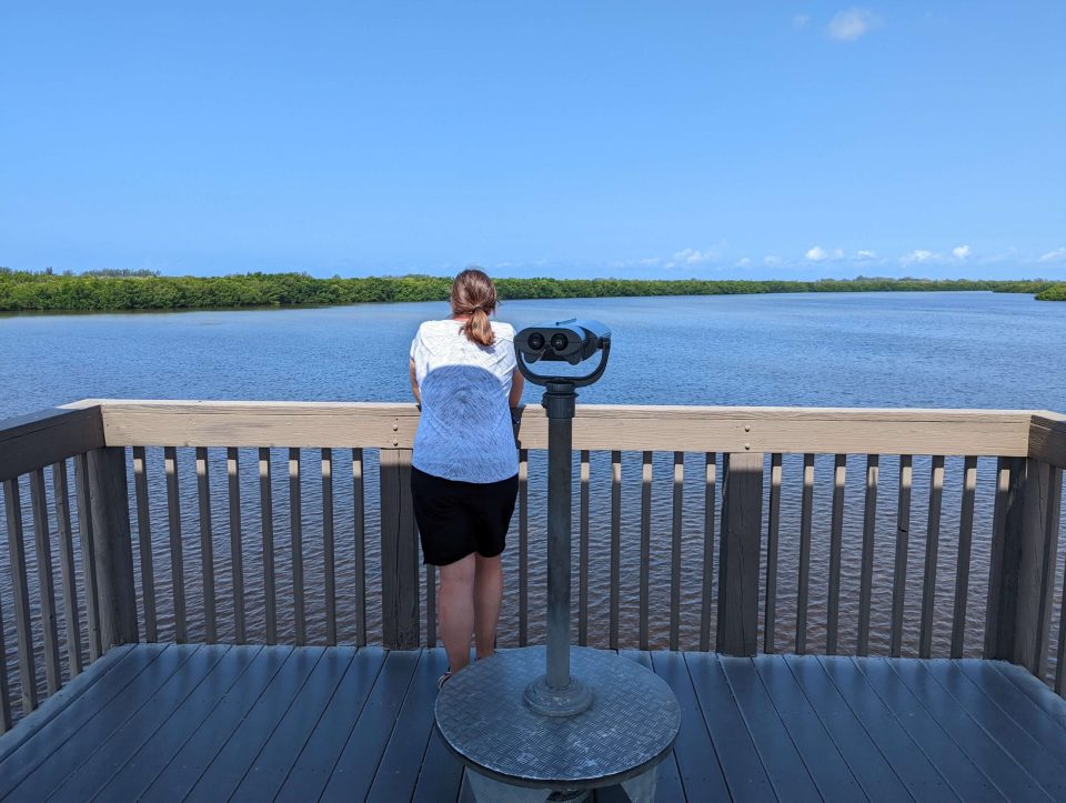 Wildlife refuge road