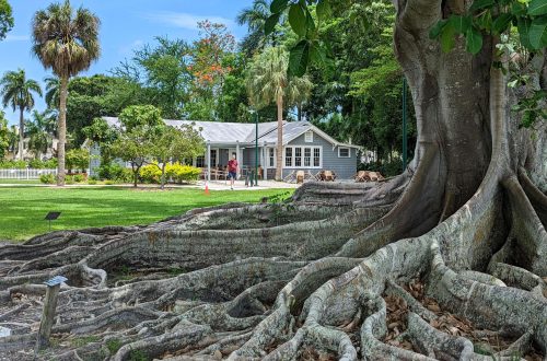 maisons hiver Edison et Ford à Fort Myers