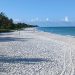 plage Naples Floride