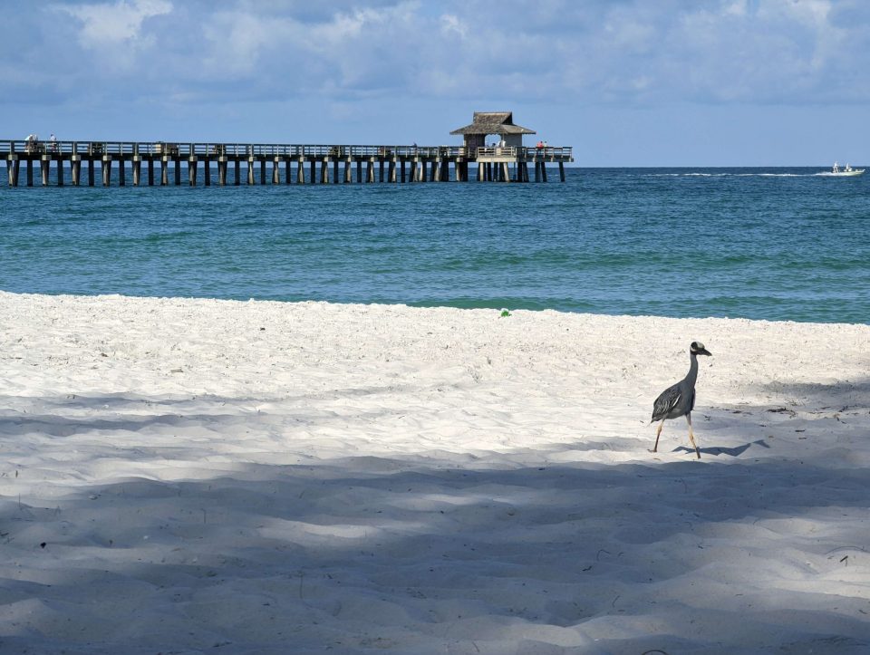 Pier Naples Floride