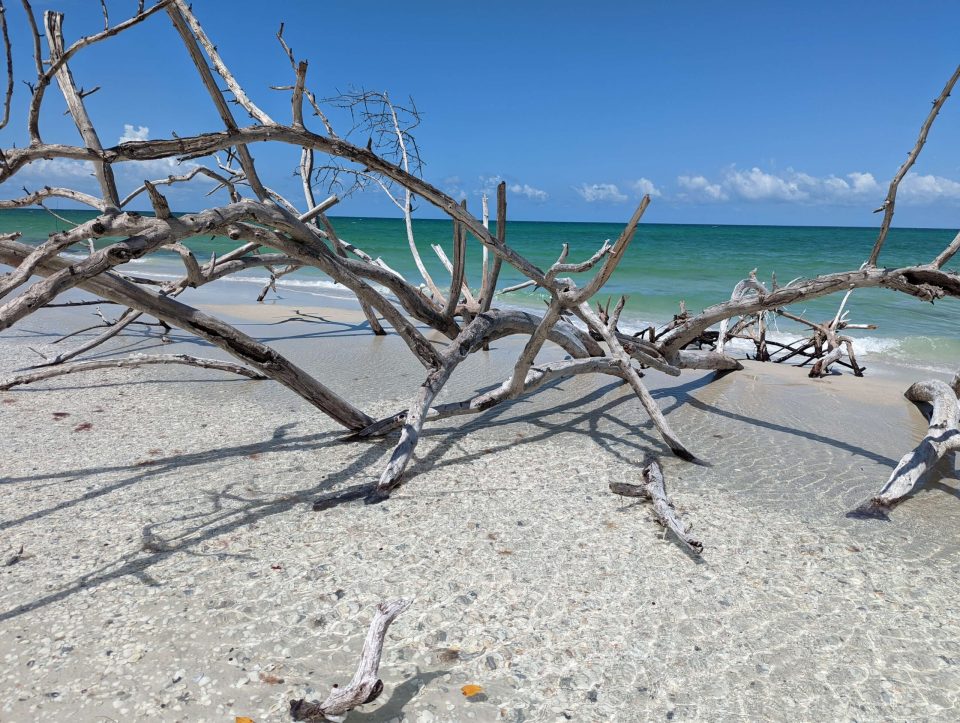 Delnor-Wiggins Pass State Park