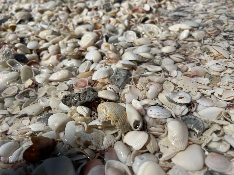 Delnor-Wiggins Pass State Park