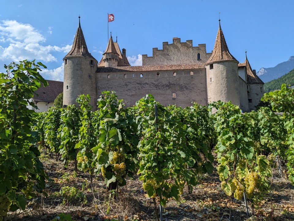 Chateau d'Aigle en Suisse