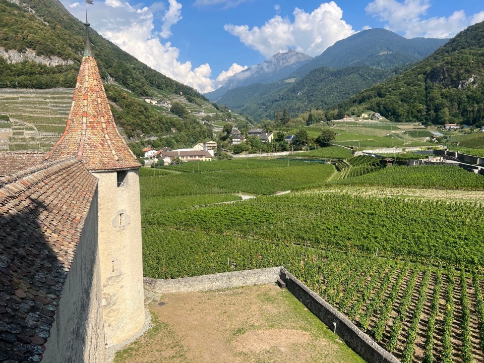 Chateau d'Aigle en Suisse