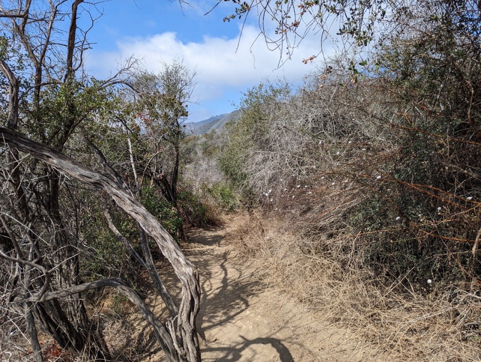 Los Leones Canyon Trailhead