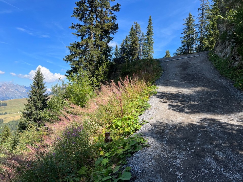 lac Lioson à coté de Leysin