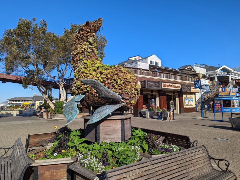 Visiter le Fisherman’s Wharf et le Pier 39