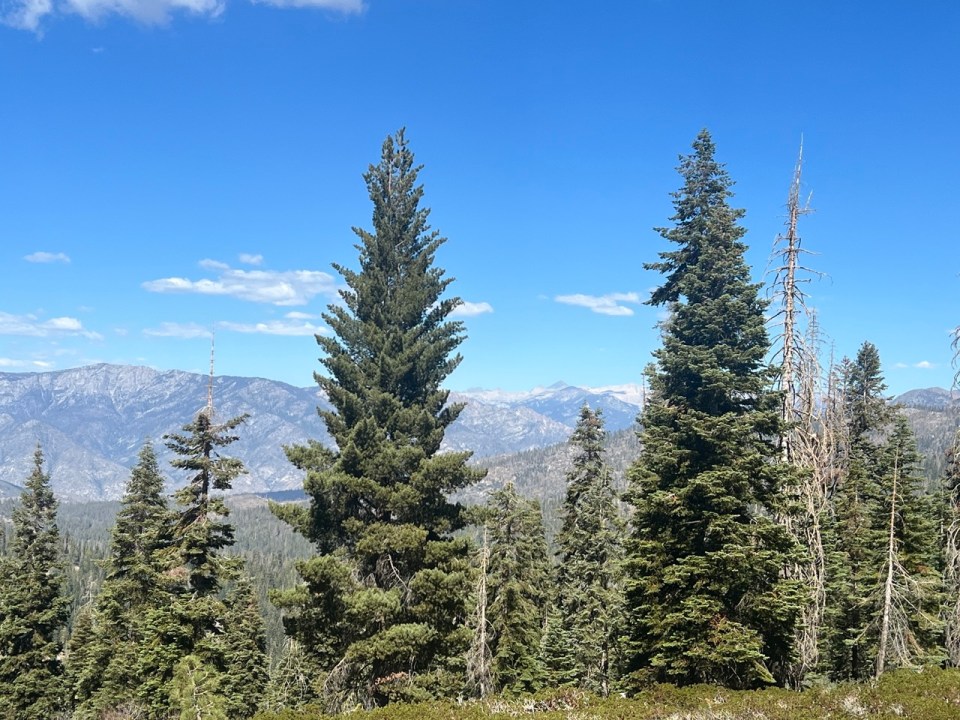 Kings Canyon Overlook dans le Kings Canyon Park