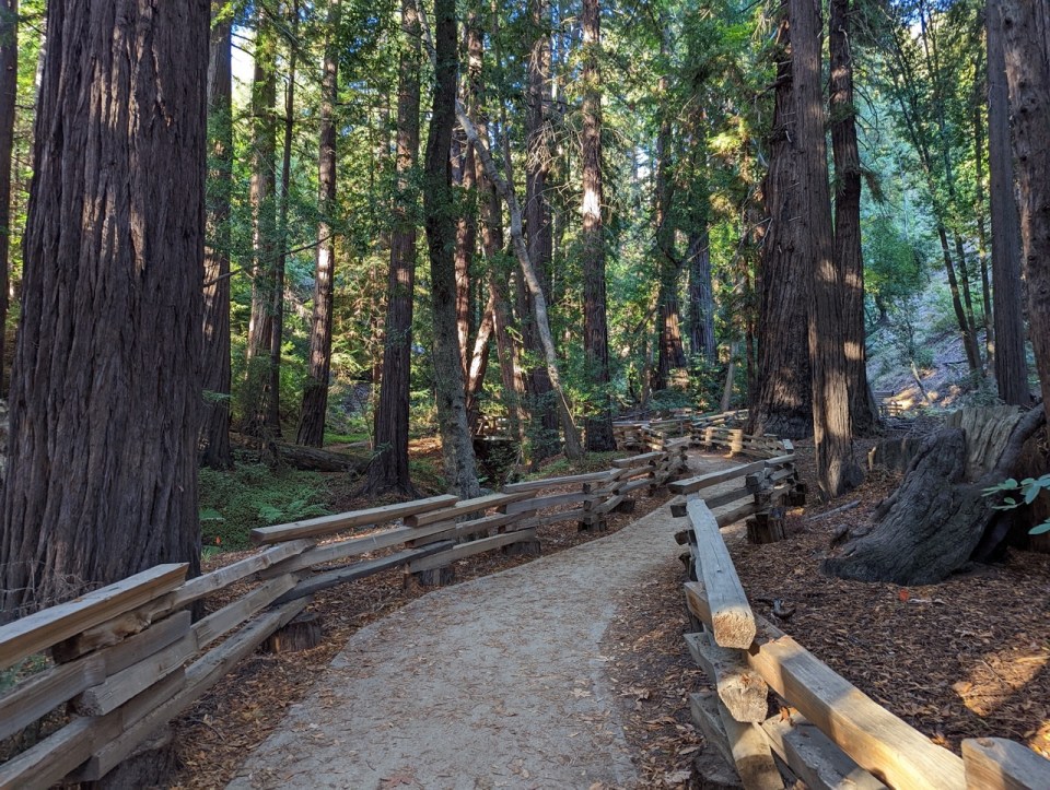 Randonnée river path and Pfeiffer falls trail dans le Pfeiffer Big Sur State Park