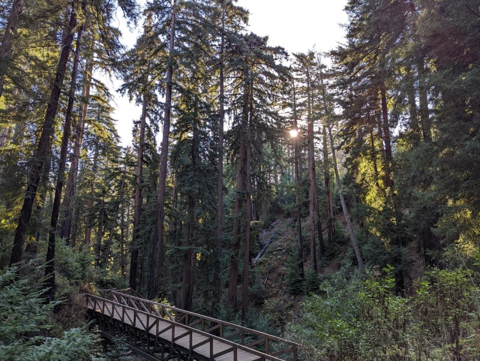 Randonnée river path and Pfeiffer falls trail dans le Pfeiffer Big Sur State Park