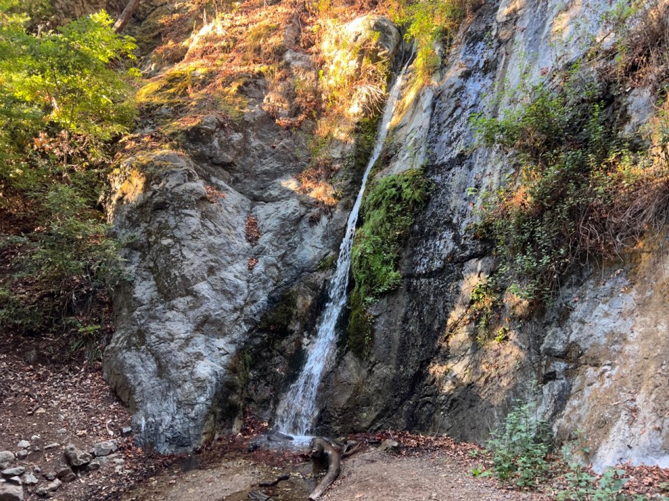 Randonnée river path and Pfeiffer falls trail dans le Pfeiffer Big Sur State Park