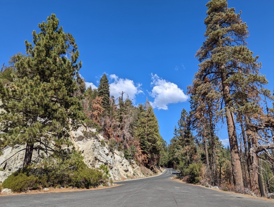 Kings Canyon Scénic Byway dans le Kings Canyon Park
