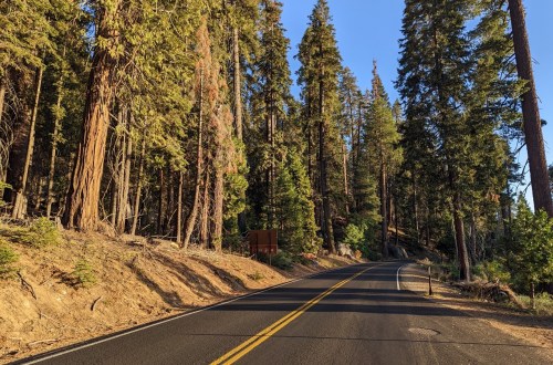 Visiter le Sequoia National Park