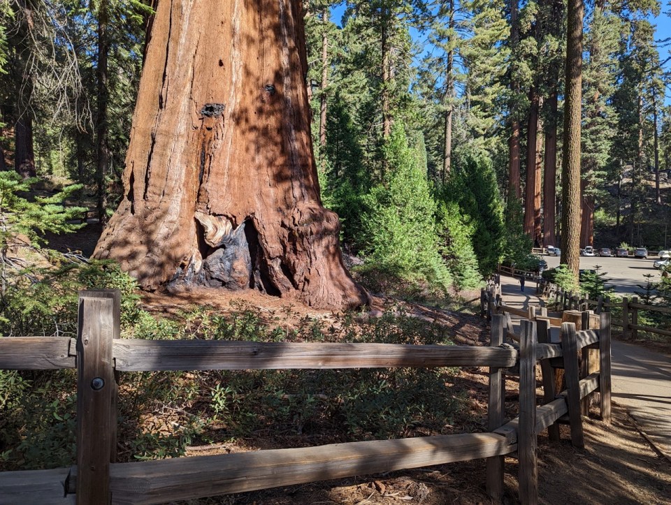General Grant Tree trail dans le Kings Canyon Park
