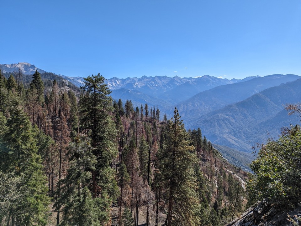 Moro Rock sur Crescent Meadows Road dans le Sequoia National Park