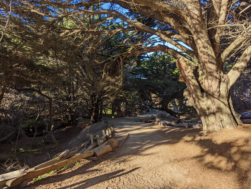 Pfeiffer Beach