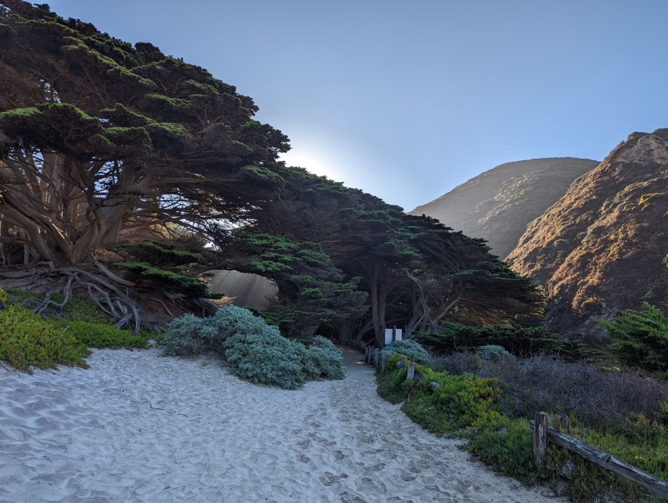 Pfeiffer Beach