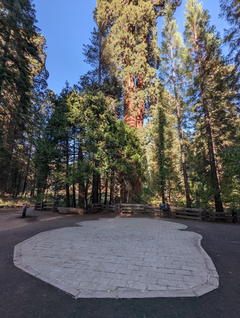 Big Trees Trail au coeur de Giant Forest dans le parc de Sequoia.