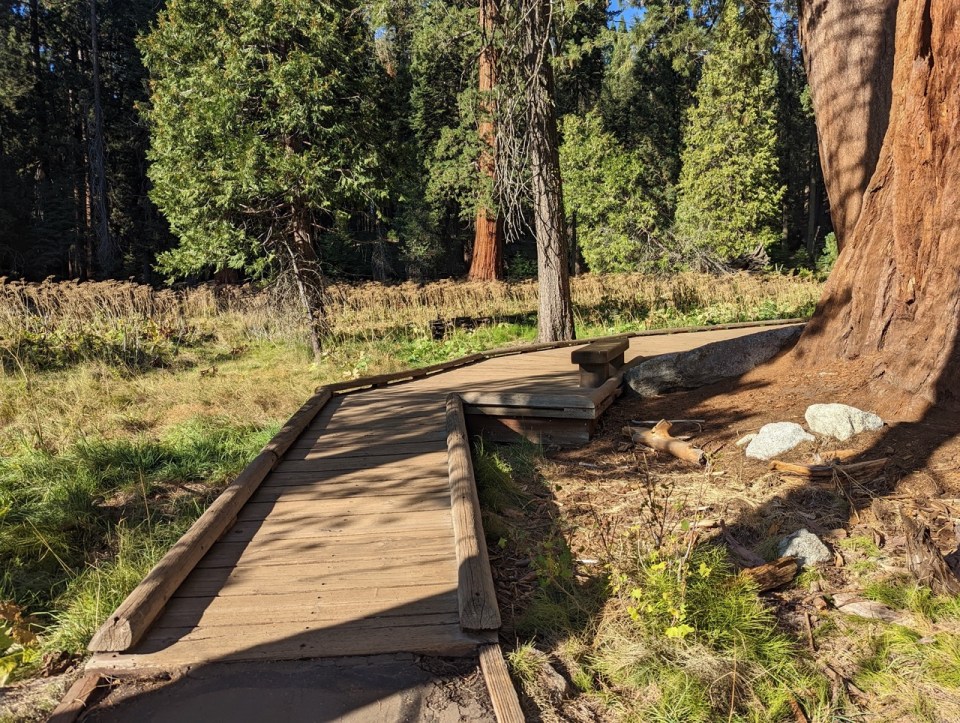 Big Trees Trail au coeur de Giant Forest dans le parc de Sequoia.