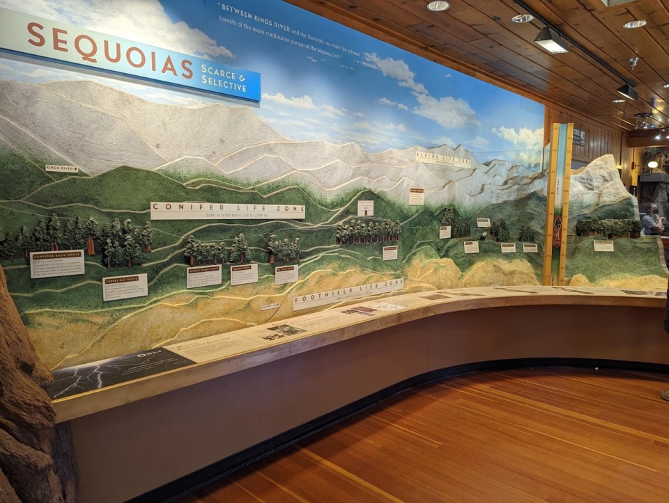 Giant Forest museum dans le parc de Sequoia.
