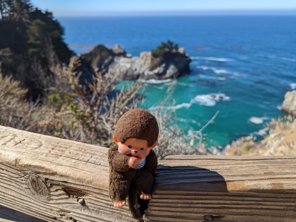 Kiki à Big Sur