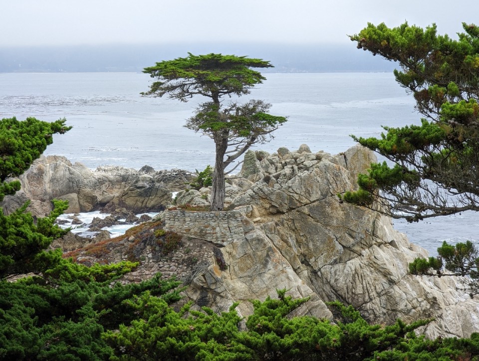 17 Mile Drive en Californie 