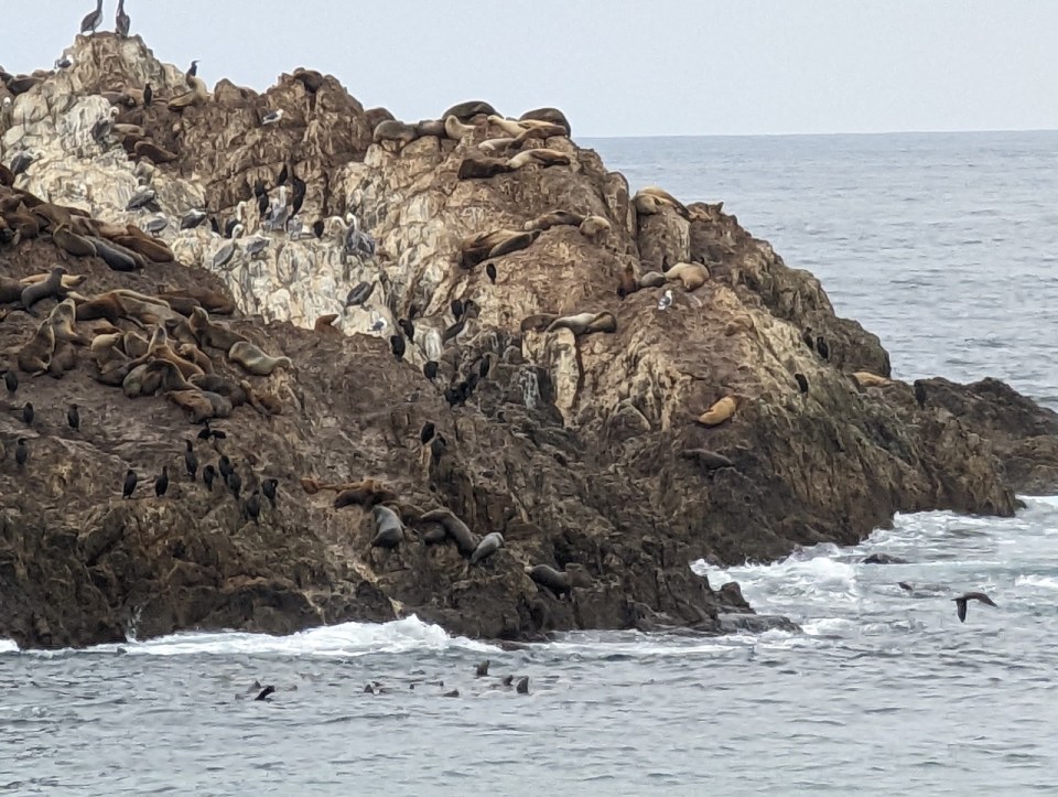 17 Mile Drive en Californie 