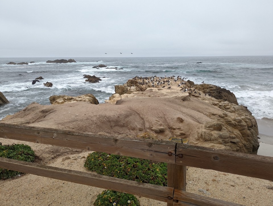 17 Mile Drive en Californie 