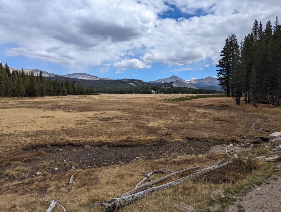 Tuolumne Meadow sur la Tioga Road