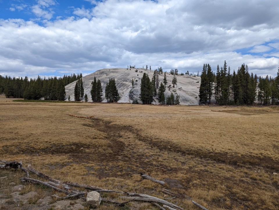 Tuolumne Meadow sur la Tioga Road