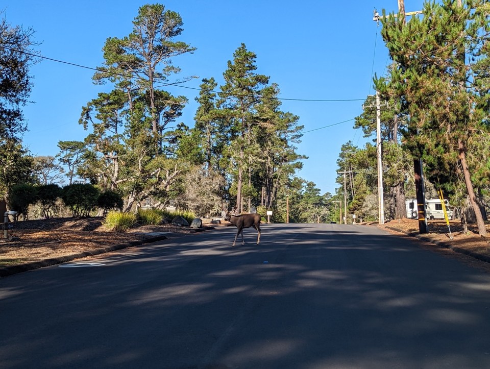 Highway 1 de San Francisco à Los Angeles en Californie