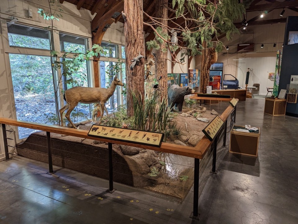 Happy Isles Nature Center