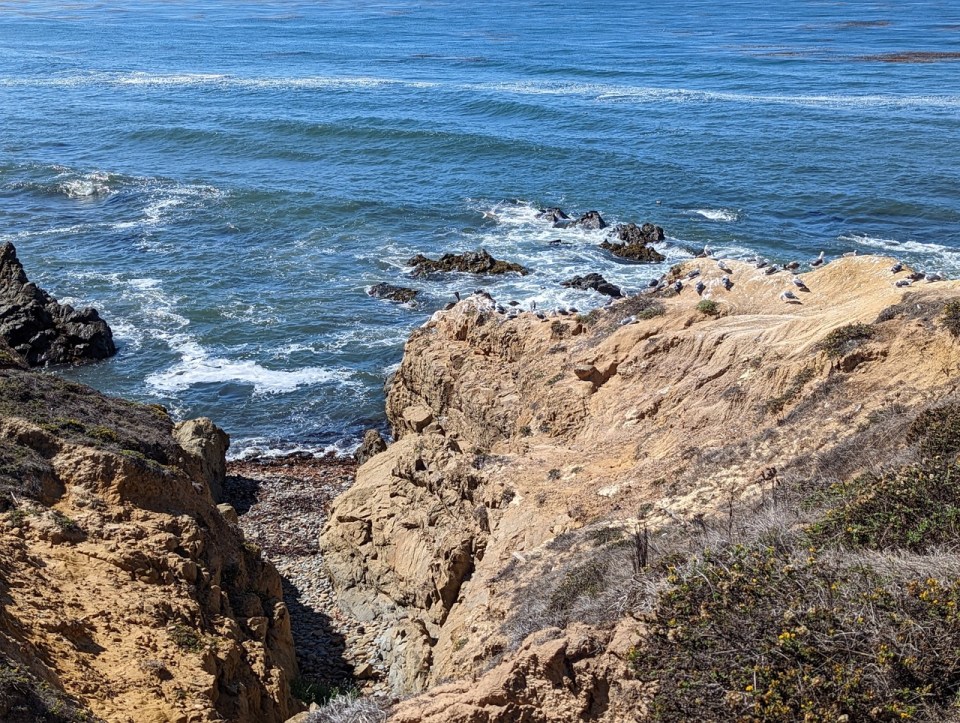 Harmony Heartland en Californie 